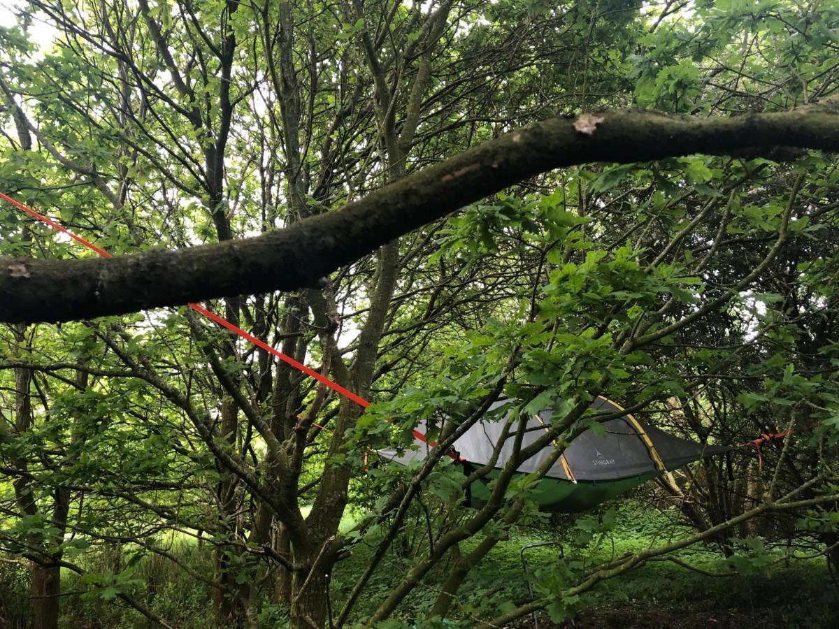 Naturecamp كوكسهافن المظهر الخارجي الصورة
